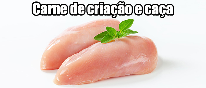 Carne de Criação e Caça